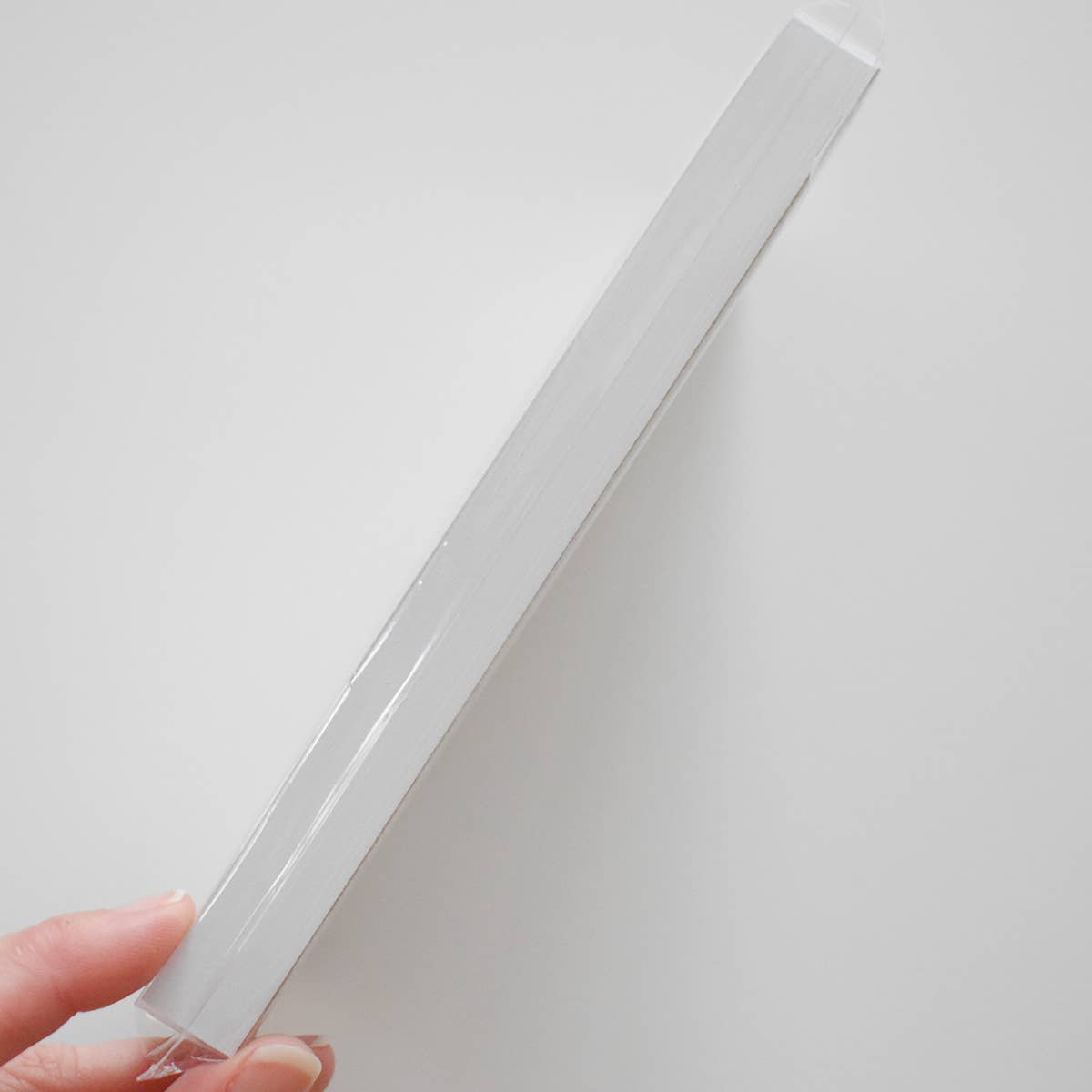 Coastal Geese Notepad
